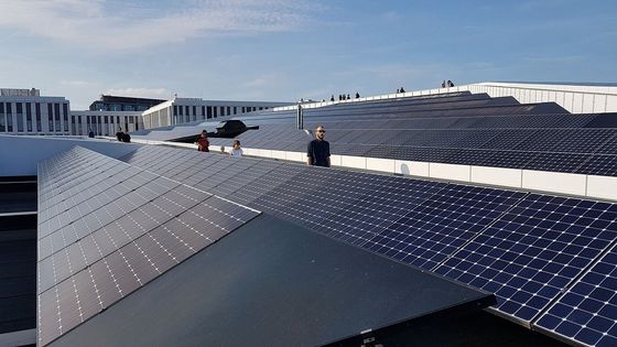 тип клетки 500W 520W 530W 540W 440w 144cells Mono Perc Bifacial n панели солнечных батарей 100W 96